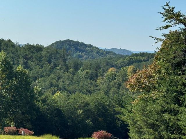 130 Golden Eagle Circle, Turtletown, TN 37391