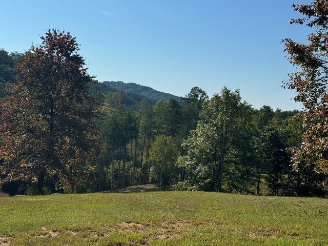 130 Golden Eagle Circle, Turtletown, TN 37391