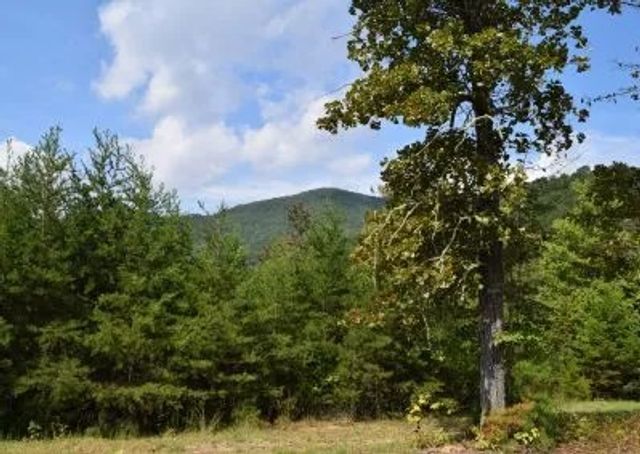 130 Golden Eagle Circle, Turtletown, TN 37391