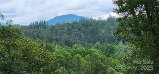 LOT 3 S Cross Creek Trail, Mill Spring, NC 28756
