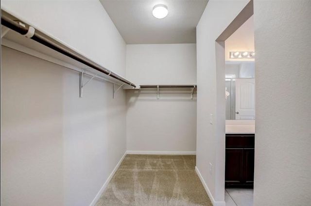 6512 Loretta White LN, Austin, TX 78744