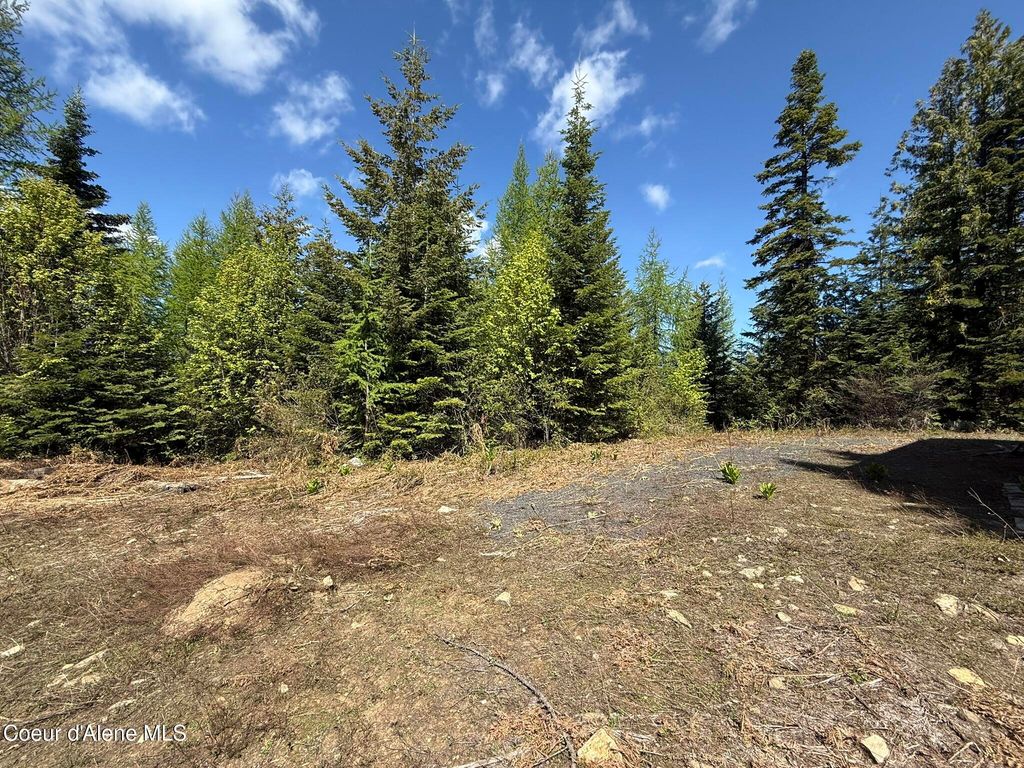 371 Upriver View DR, Fernwood, ID 83830 photo 10