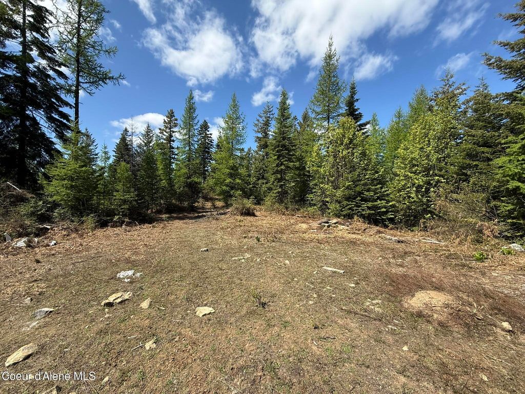 371 Upriver View DR, Fernwood, ID 83830 photo 11