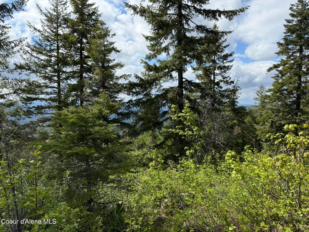 371 Upriver View DR, Fernwood, ID 83830 photo 19