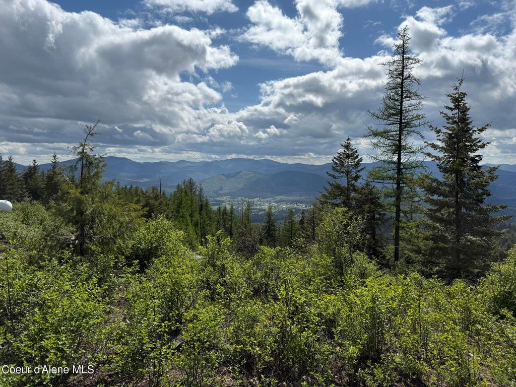 371 Upriver View DR, Fernwood, ID 83830 photo 20