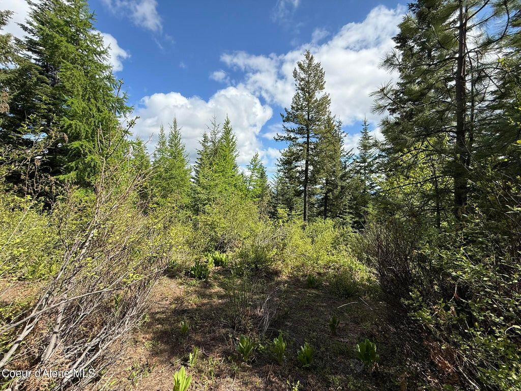 371 Upriver View DR, Fernwood, ID 83830 photo 22