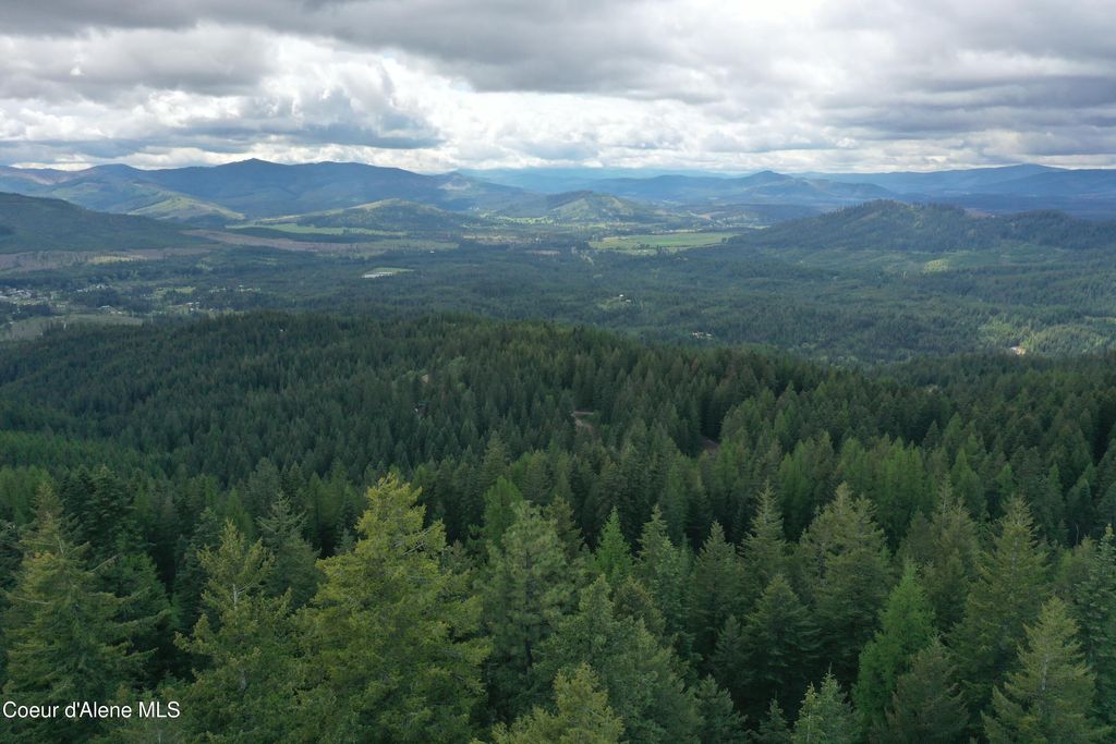 371 Upriver View DR, Fernwood, ID 83830 photo 8