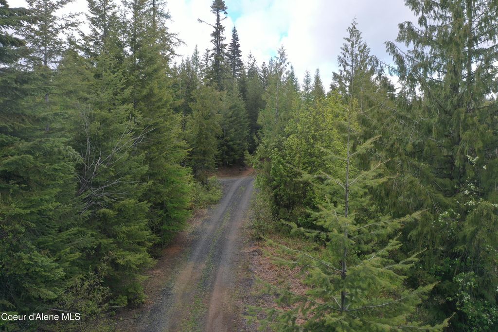 371 Upriver View DR, Fernwood, ID 83830 photo 9