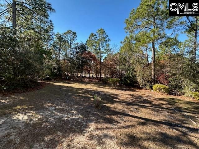 33 Valkyrie Circle, Columbia, SC 29229