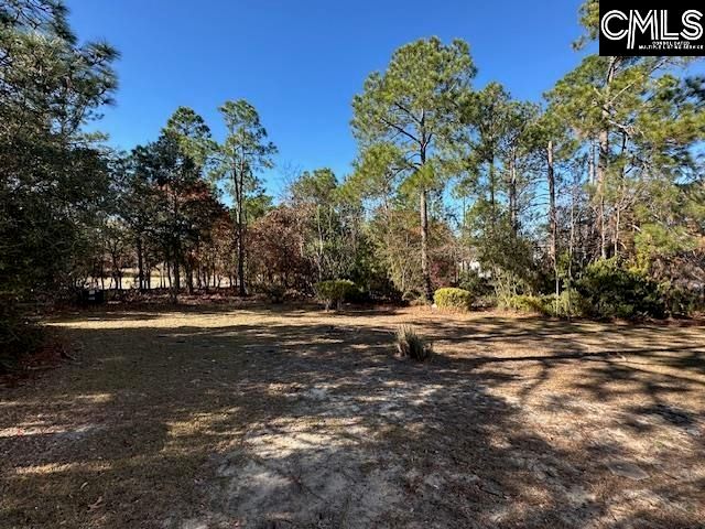 33 Valkyrie Circle, Columbia, SC 29229