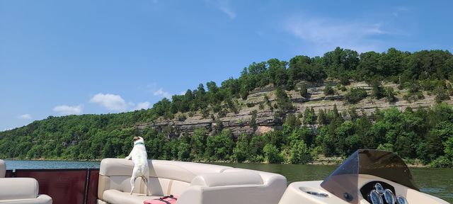 2427 Hardin Bottom River Rd, Clifton, TN 38425