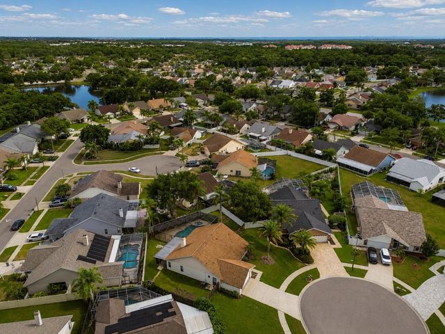 12008 PEONY COURT, Tampa, FL 33635