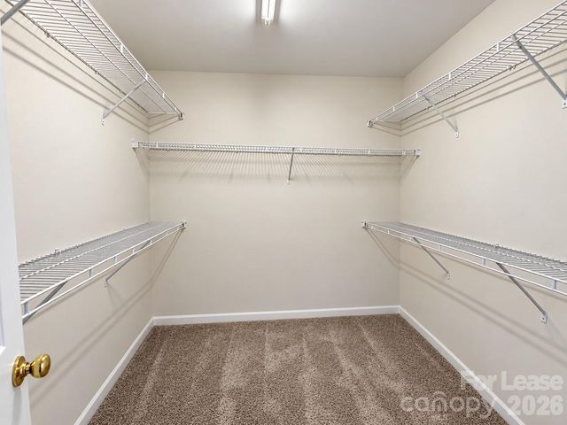 8531 Carolina Lily Lane, Charlotte, NC 28262