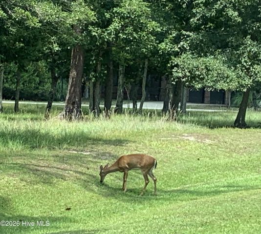 1901 Redfish Run SW, Supply, NC 28462