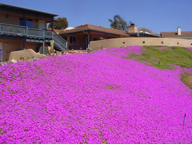 29737-39 Margale Ln, Vista, CA 92084