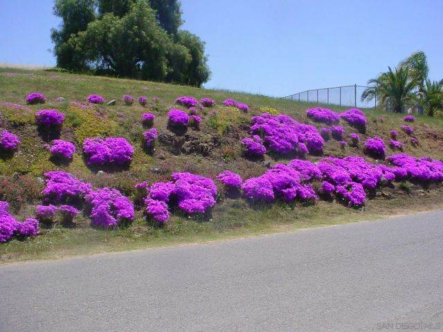 29737-39 Margale Ln, Vista, CA 92084