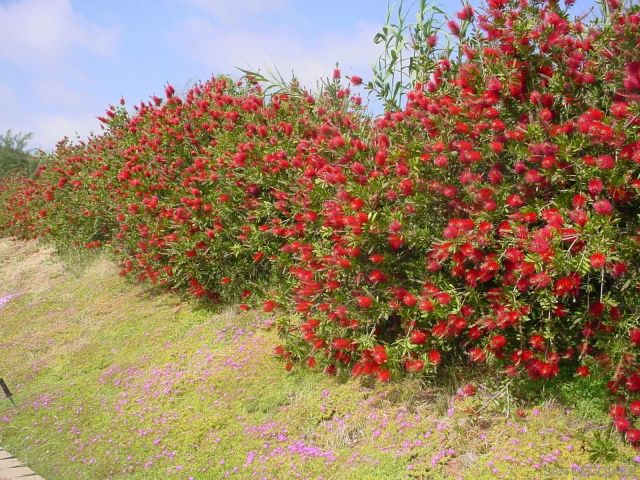 29737-39 Margale Ln, Vista, CA 92084