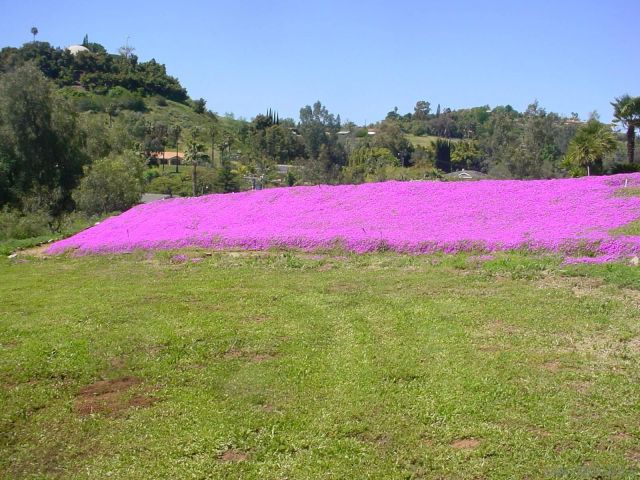 29737-39 Margale Ln, Vista, CA 92084