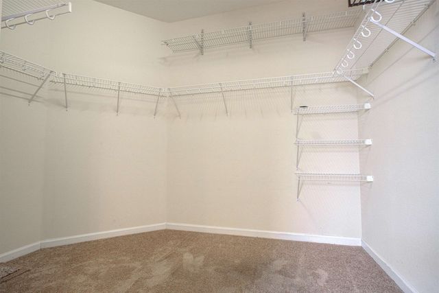 109 Nunna Rock Trail, St Augustine, FL 32092