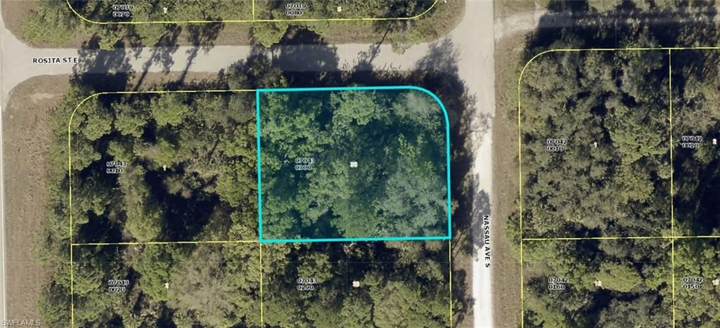 156 Nassau AVE, LEHIGH ACRES, FL 33974 — exterior