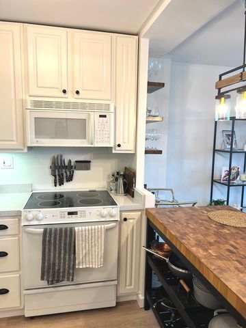 88 W Schiller Street 1707, Chicago, IL 60610