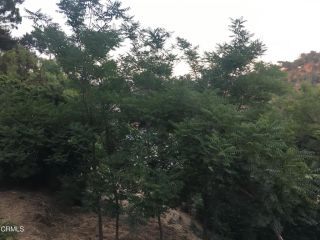 Earl APN 5422-009-040, Los Angeles, CA 90039