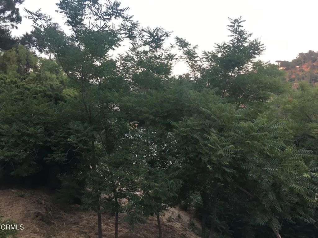 Earl APN 5422-009-040, Los Angeles, CA 90039