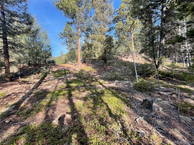 12282 Hosman Court, Conifer, CO 80433