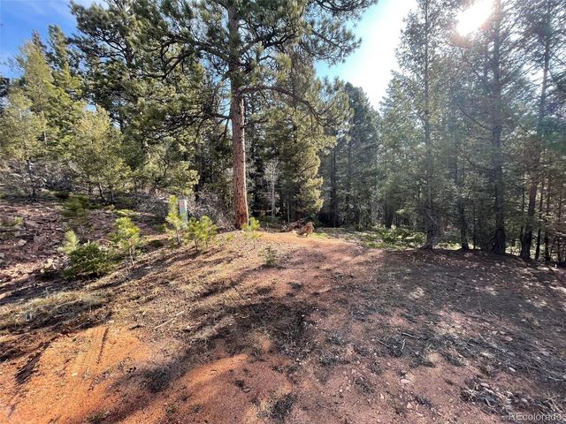 12282 Hosman Court, Conifer, CO 80433