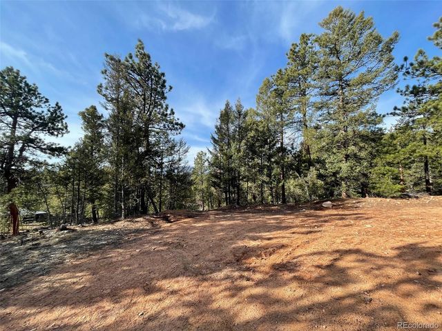 12282 Hosman Court, Conifer, CO 80433