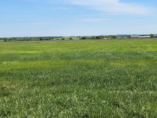 3009 Dolphine DR, Coupland, TX 78615