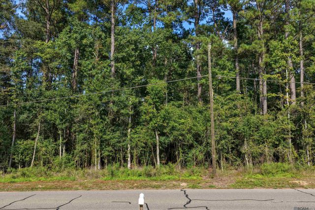 TBD N Doyle Rd, Holden, LA 70744
