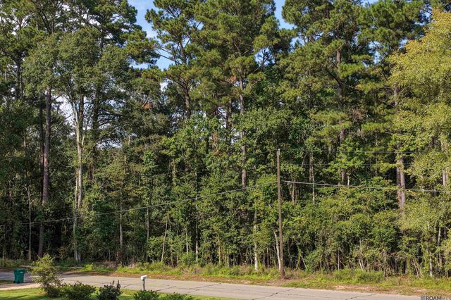 TBD N Doyle Rd, Holden, LA 70744