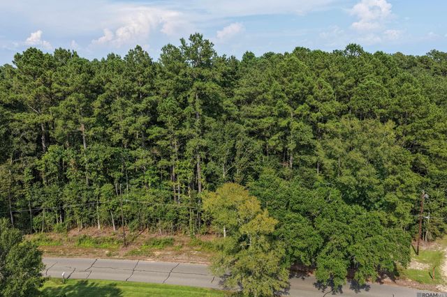 TBD N Doyle Rd, Holden, LA 70744