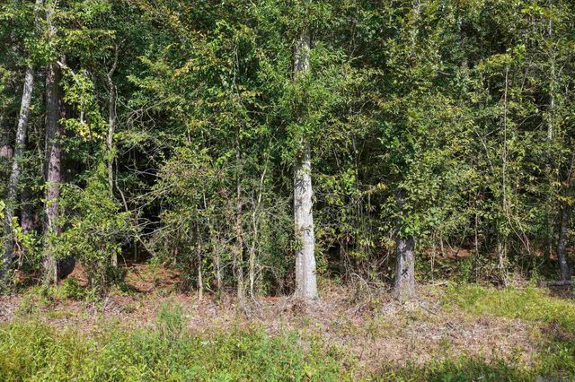 TBD N Doyle Rd, Holden, LA 70744