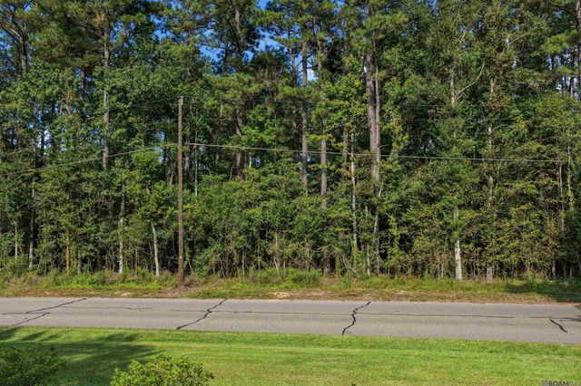 TBD N Doyle Rd, Holden, LA 70744
