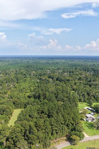 TBD N Doyle Rd, Holden, LA 70744