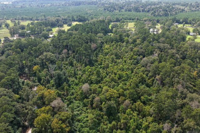 TBD N Doyle Rd, Holden, LA 70744