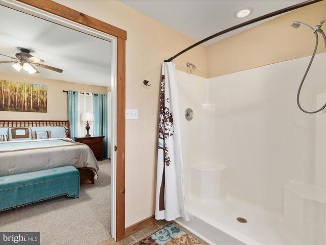 254 CARTE LN, Mount Jackson, VA 22842