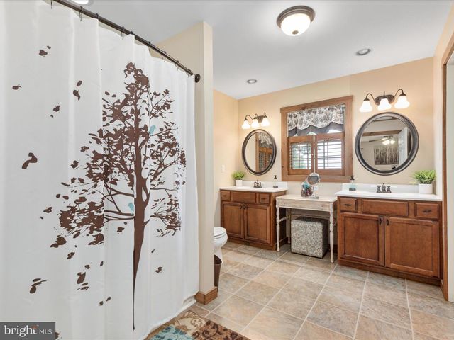 254 CARTE LN, Mount Jackson, VA 22842