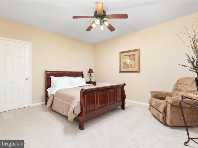 254 CARTE LN, Mount Jackson, VA 22842