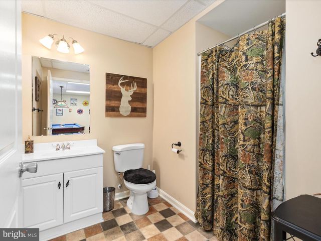 254 CARTE LN, Mount Jackson, VA 22842