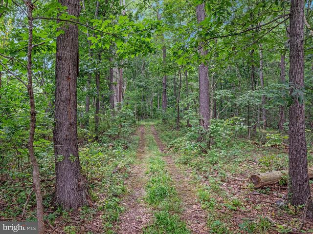 254 CARTE LN, Mount Jackson, VA 22842