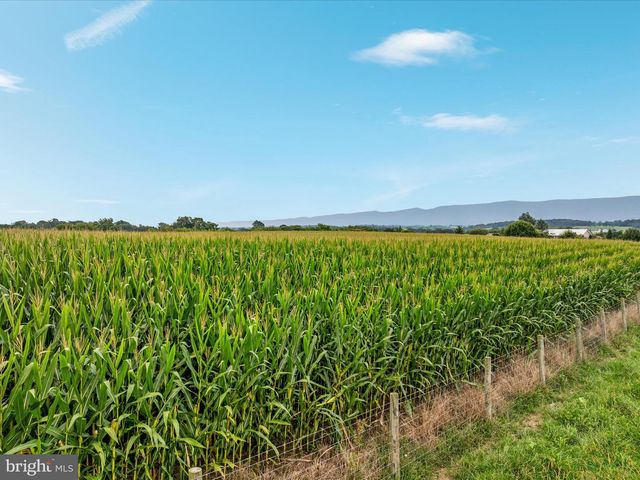 254 CARTE LN, Mount Jackson, VA 22842