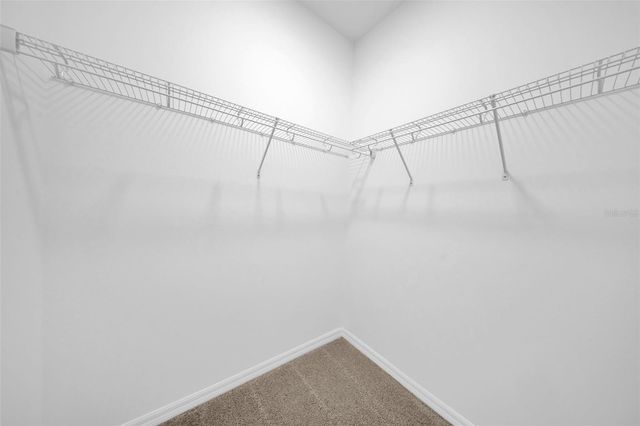 5841 RIVERSTON AVENUE, Wesley Chapel, FL 33545