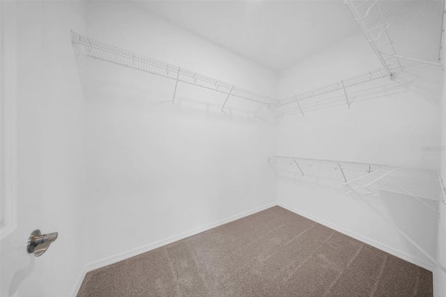 5841 RIVERSTON AVENUE, Wesley Chapel, FL 33545