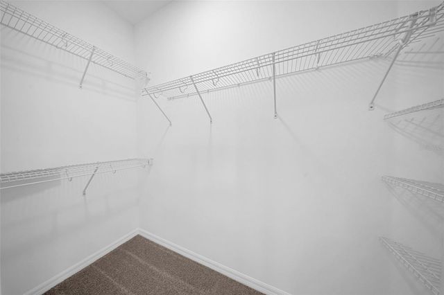 5841 RIVERSTON AVENUE, Wesley Chapel, FL 33545