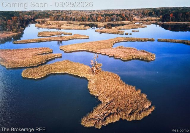 4654 WATER Street, Columbiaville Village, MI 48421