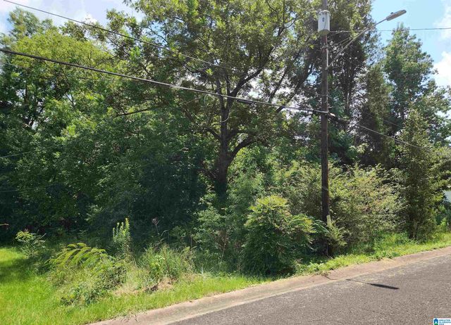 307 2ND AVENUE, Mulga, AL 35118
