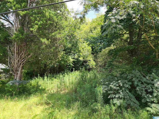 307 2ND AVENUE, Mulga, AL 35118